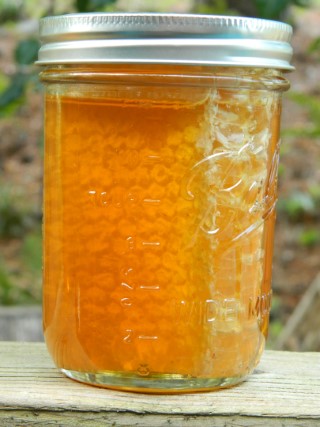 We lost one hive this year but still got some honey.